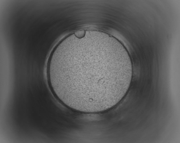 X0000100911090200807151133