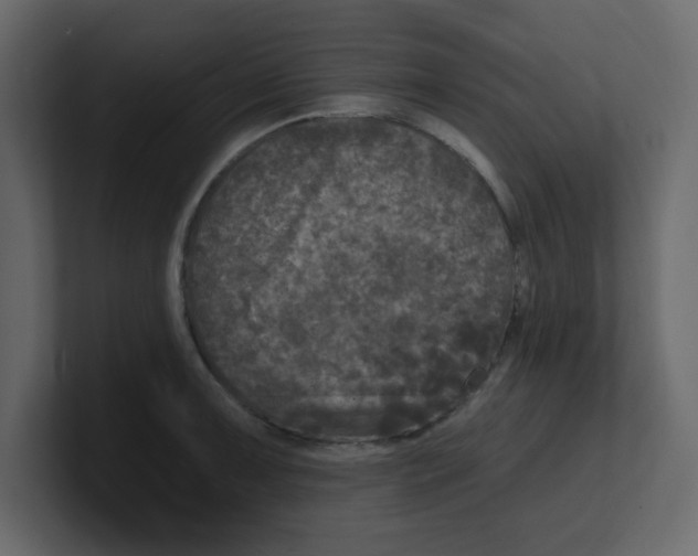 X0000100911091200807151133