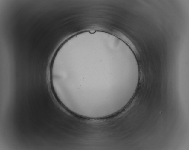 X0000100911092200807151133