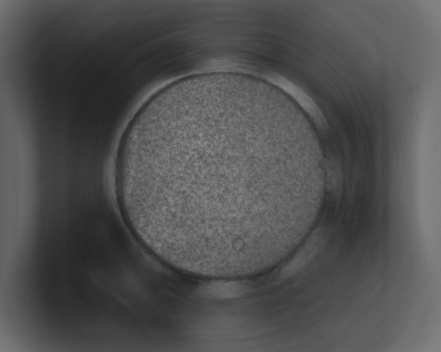 X0000100911094200807151133