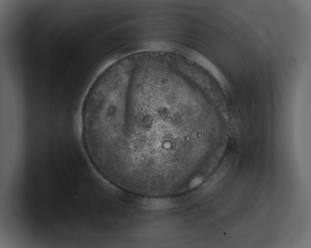 X0000100911095200807151133