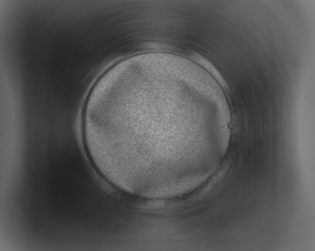 X0000100911098200807151133