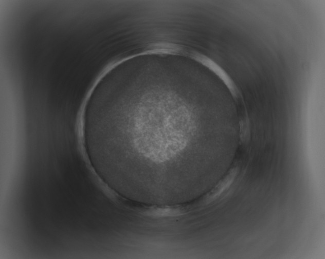 X0000100911099200807151133