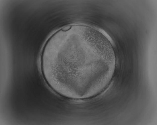 X0000100911100200807151133