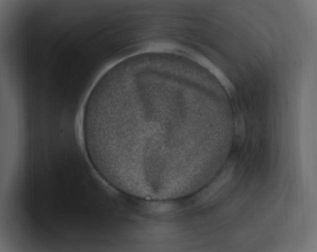 X0000100911103200807151133