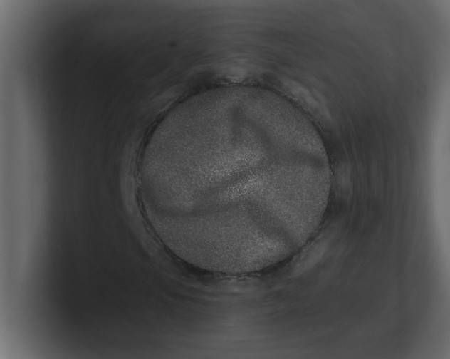 X0000100911105200807151132