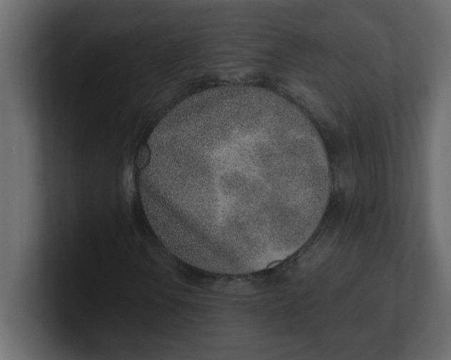 X0000100911106200807151132