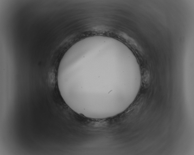 X0000100911110200807151132