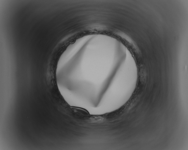 X0000100911112200807151133