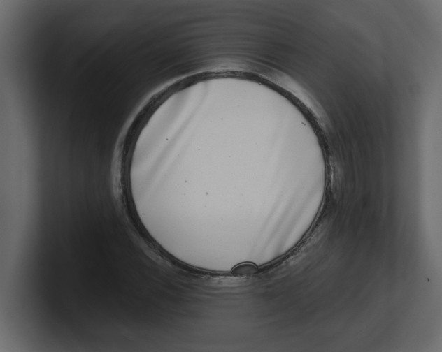 X0000100911116200807151133