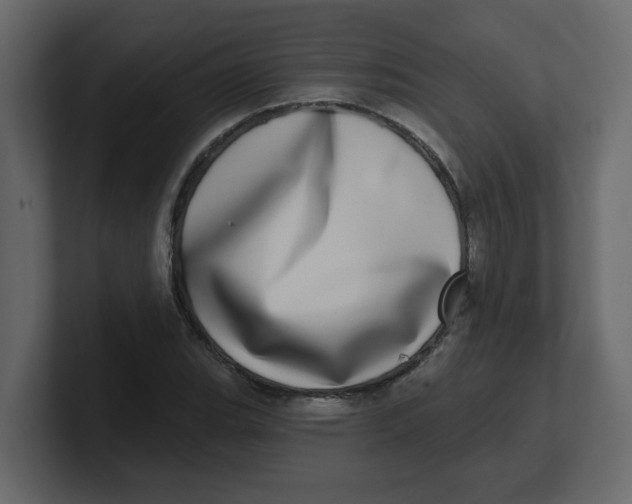 X0000100911119200807151133