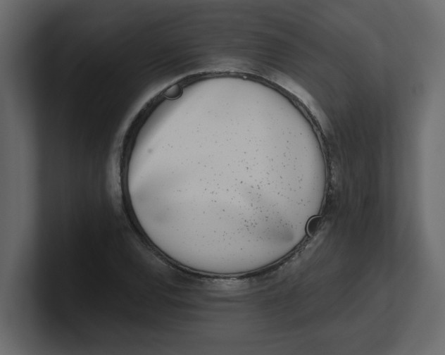 X0000100911120200807151133