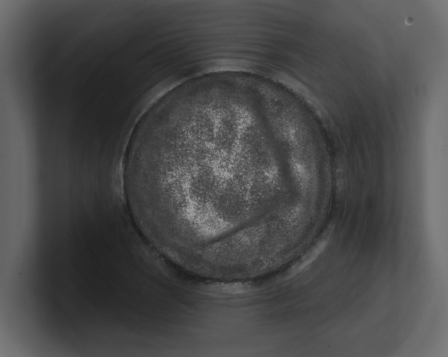 X0000100911121200807151133