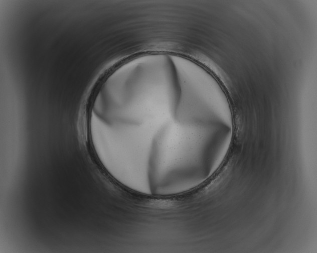 X0000100911123200807151133