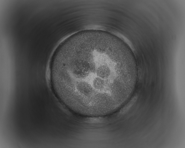 X0000100911125200807151133