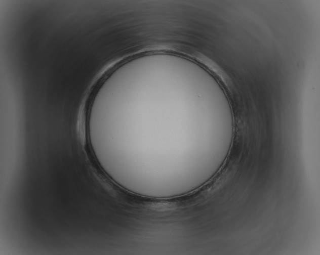 X0000100911127200807151133