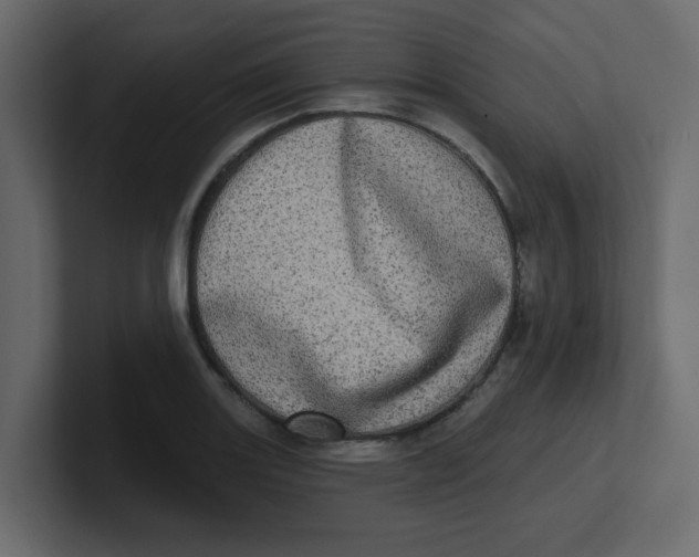 X0000100911131200807151133