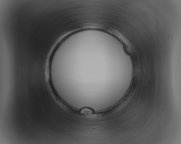 X0000100911132200807151133