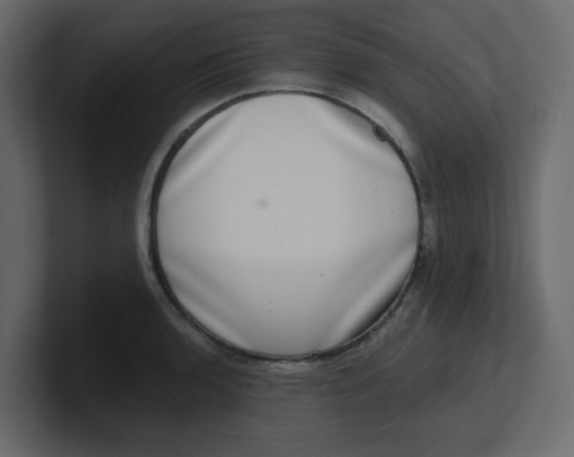 X0000100911136200807151133