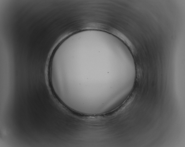 X0000100911138200807151133