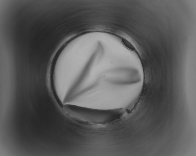 X0000100911139200807151133