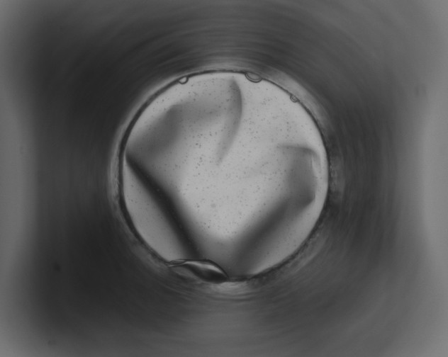 X0000100911140200807151133