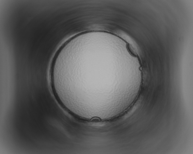 X0000100911141200807151133