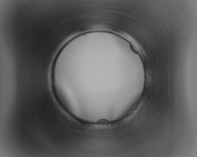 X0000100911142200807151133