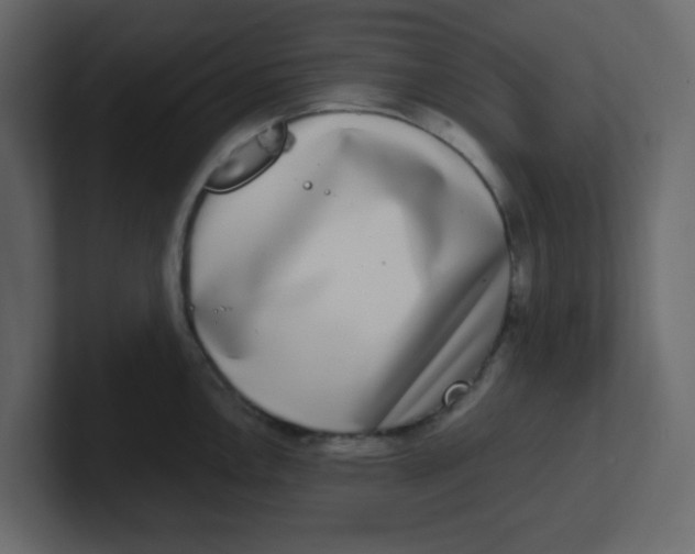 X0000100911146200807151133