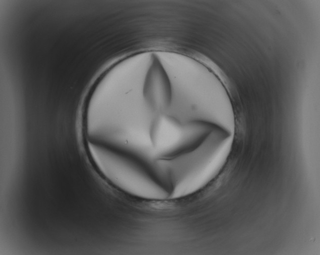 X0000100911147200807151133