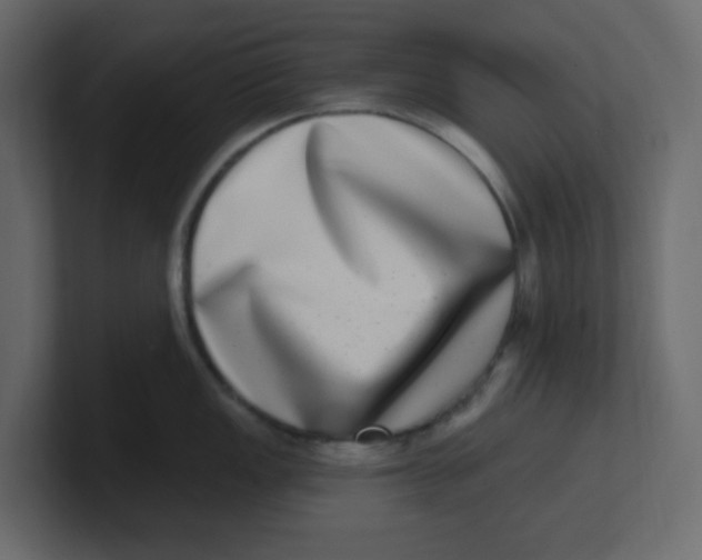 X0000100911149200807151133