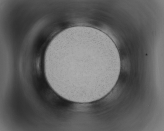 X0000100911150200807151133