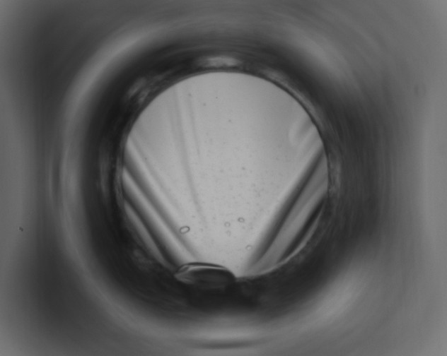 X0000100911151200807151133