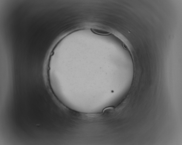 X0000100911152200807151133