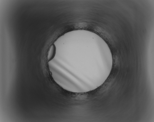 X0000100911153200807151132