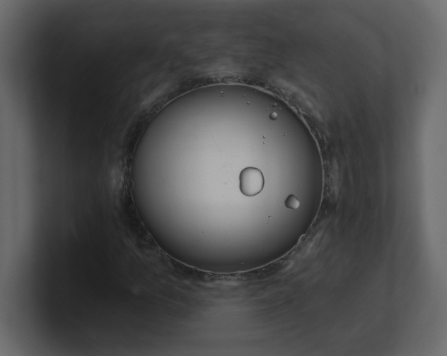 X0000100911157200807151132