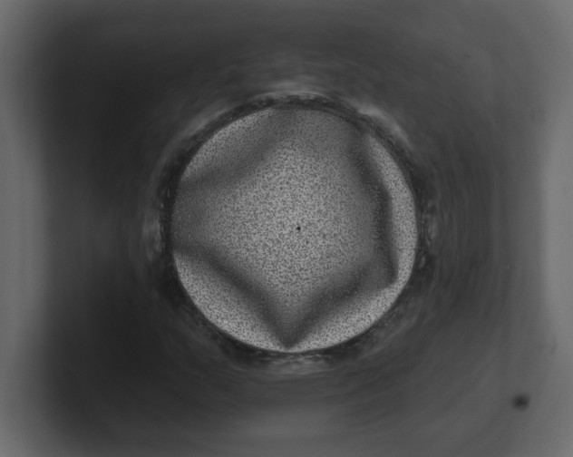 X0000100911159200807151132