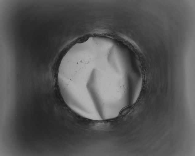 X0000100911160200807151132