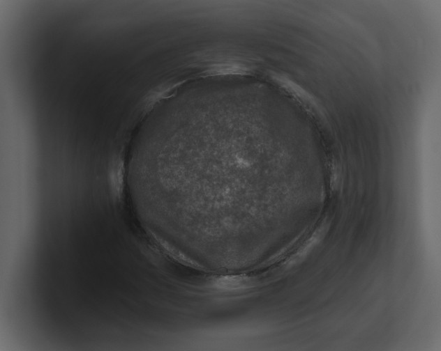 X0000100911161200807151132