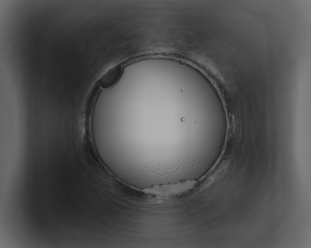 X0000100911165200807151132