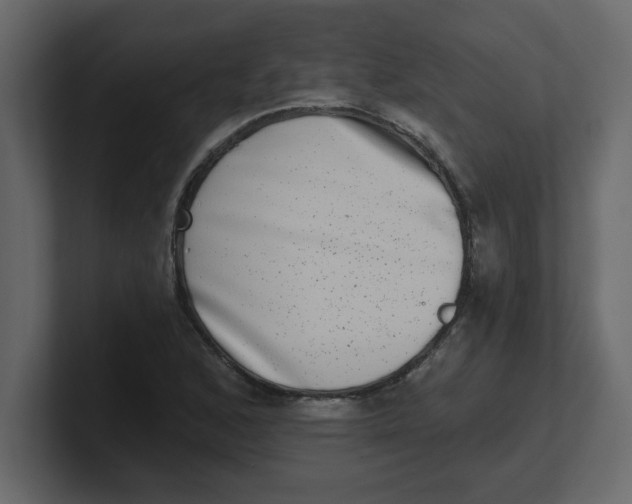 X0000100911168200807151132