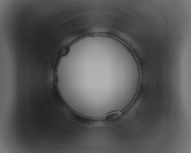 X0000100911169200807151132