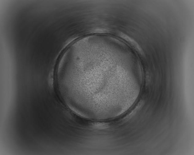 X0000100911170200807151132