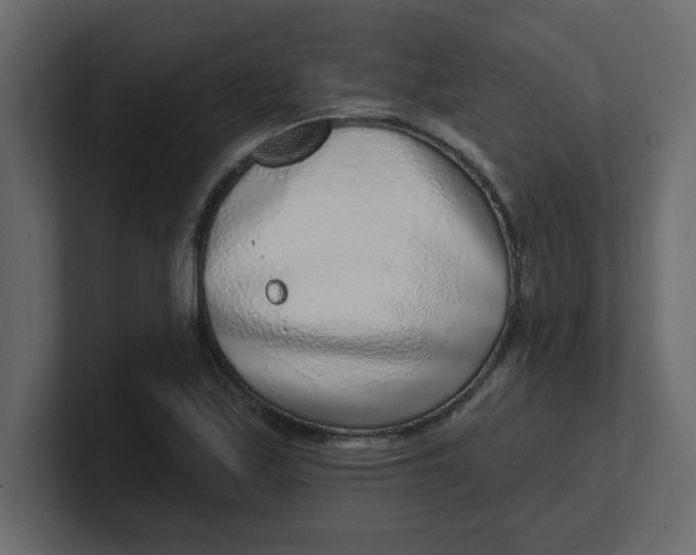 X0000100911171200807151132