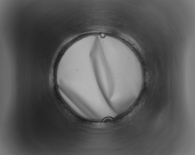 X0000100911172200807151132