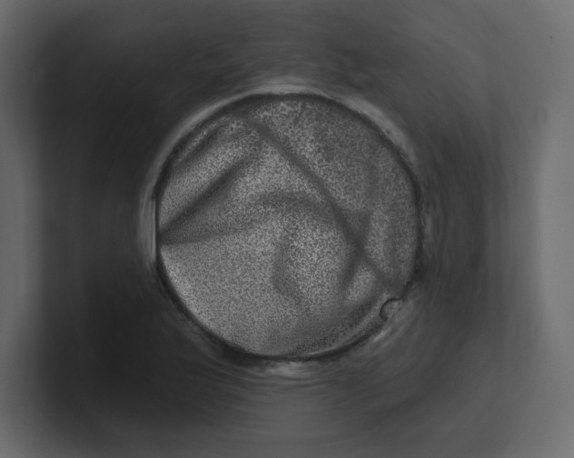 X0000100911175200807151132