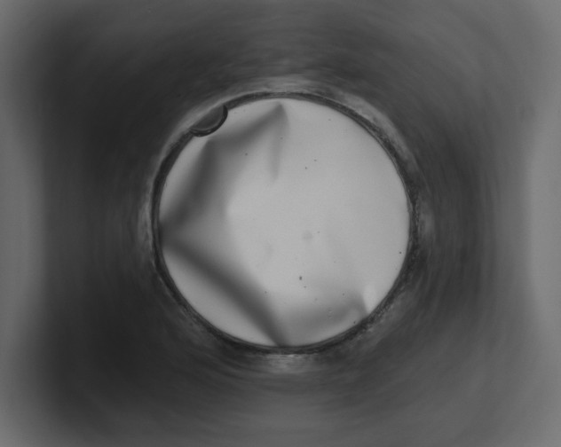 X0000100911176200807151132