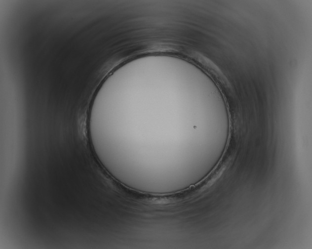 X0000100911177200807151132