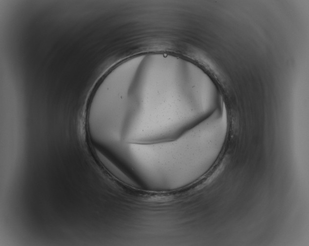 X0000100911178200807151132