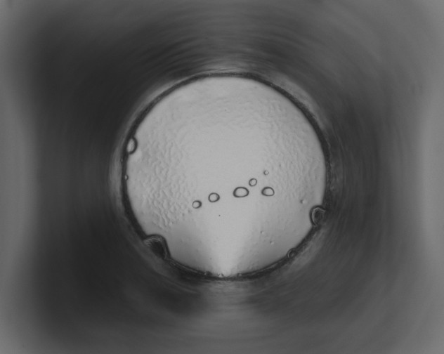 X0000100911179200807151132